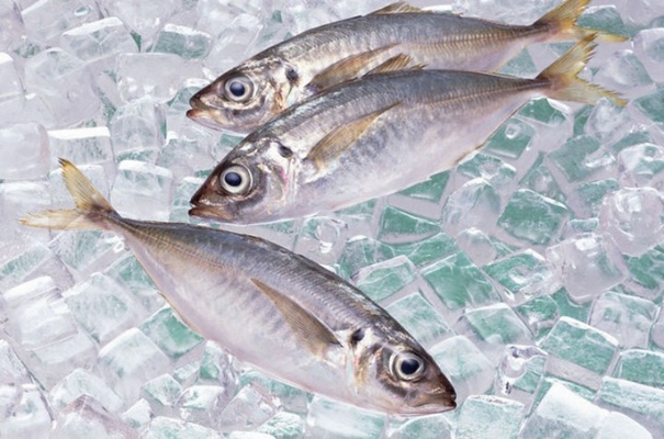 青島冷凍魚(yú)進(jìn)口清關(guān)實(shí)用知識，建議看看_副本.jpg